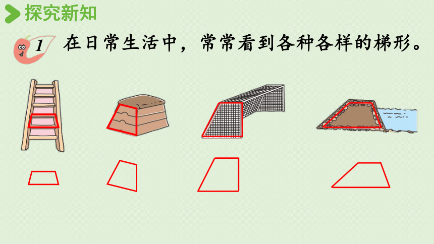 四年级下册62梯形西师大版课件24张ppt