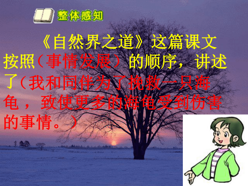 四年级语文上册课件 自然界之道 2（北京版）
