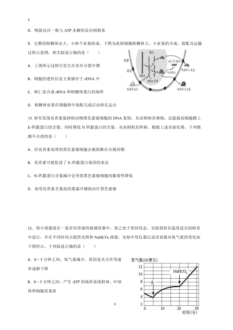 湖南省长沙市宁乡十中2021届高三10月月考生物试题