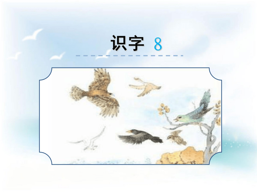 苏教版语文二年级下册（2017版）识字8 鸟 隹 月课件