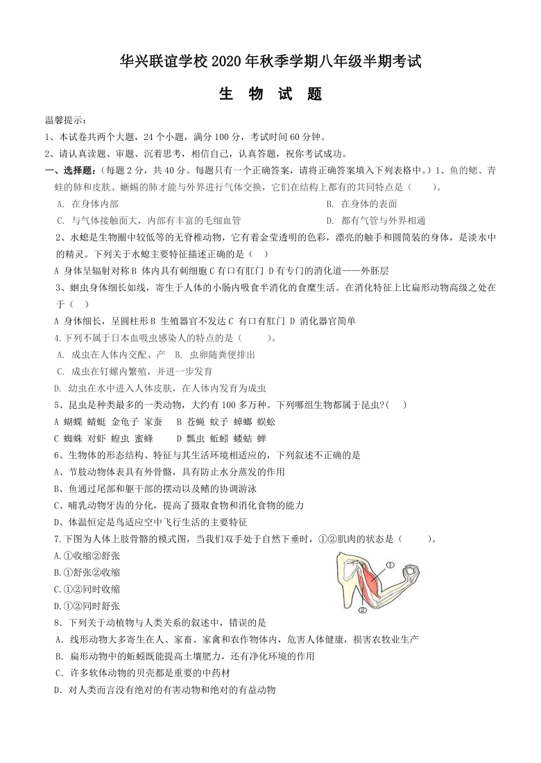 四川省眉山市仁寿县华兴联谊学校2020-2021学年八年级上学期期中考试生物试题（word版，含答案）