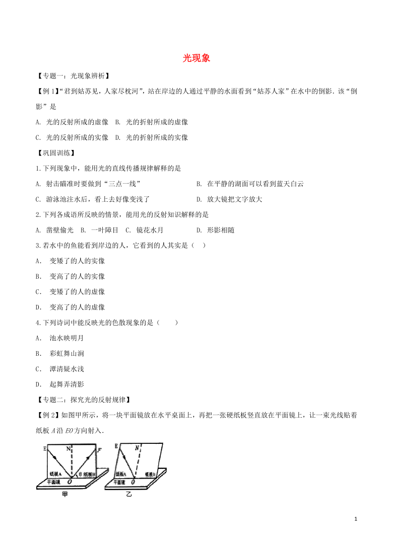 2020八年级物理重点知识专题训练光现象含解析新人教版