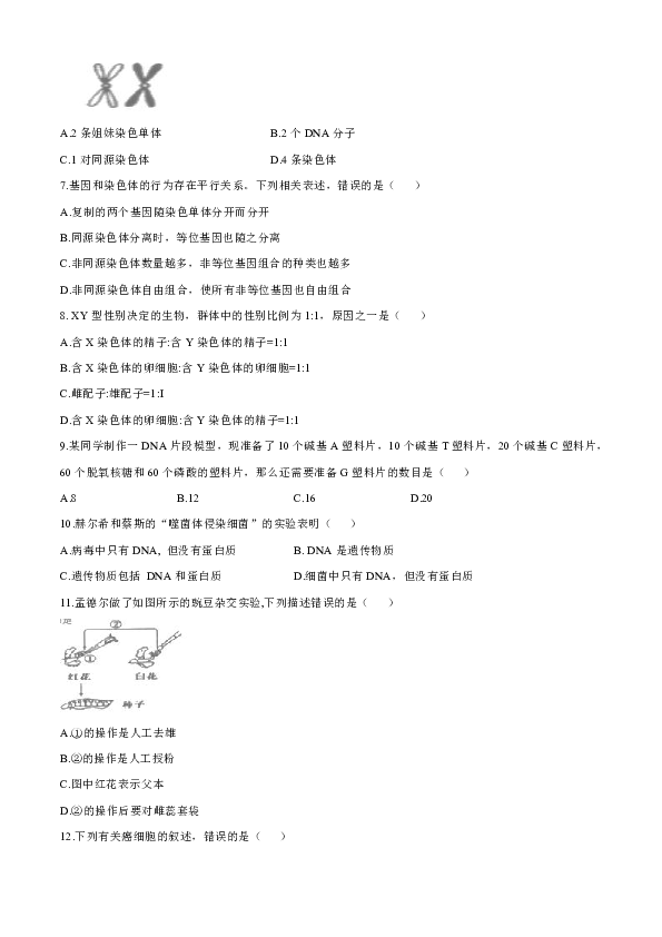 天津市部分区2019-2020学年高一下学期期末考试生物试题