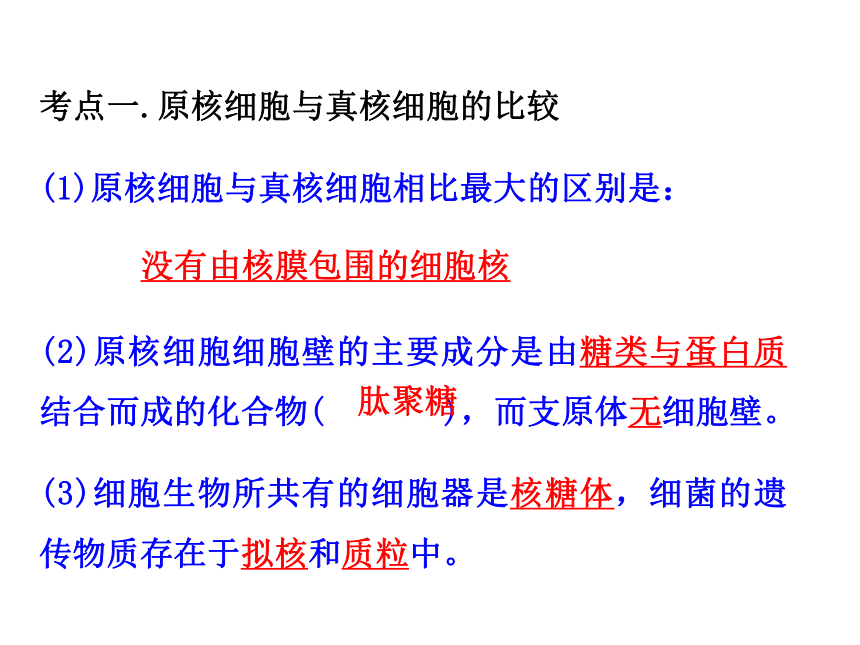 专题2 细胞的基本结构28PPT