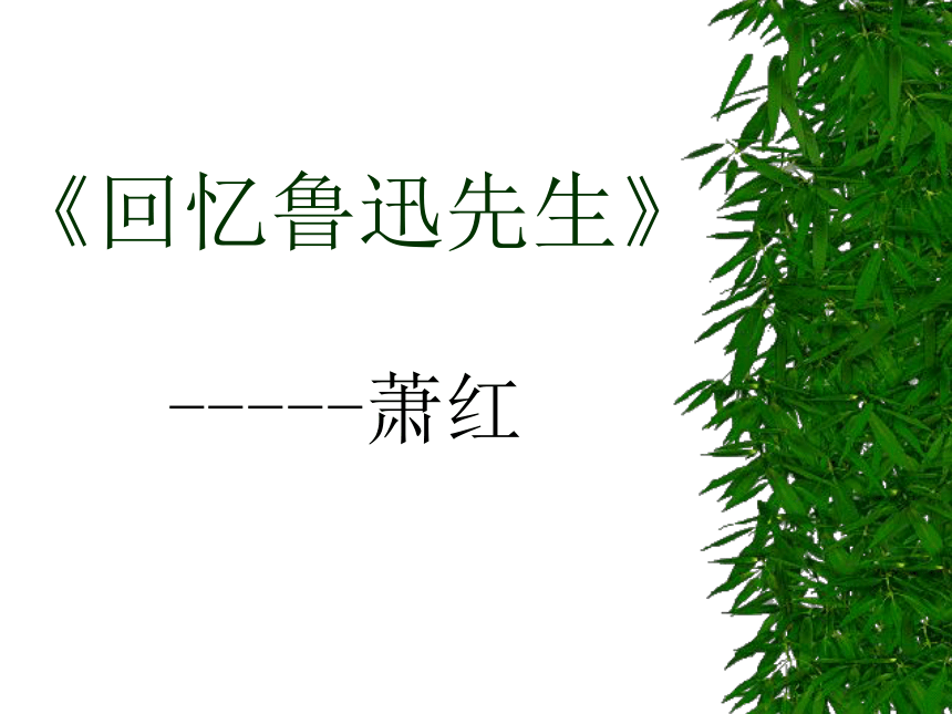 回忆鲁迅先生