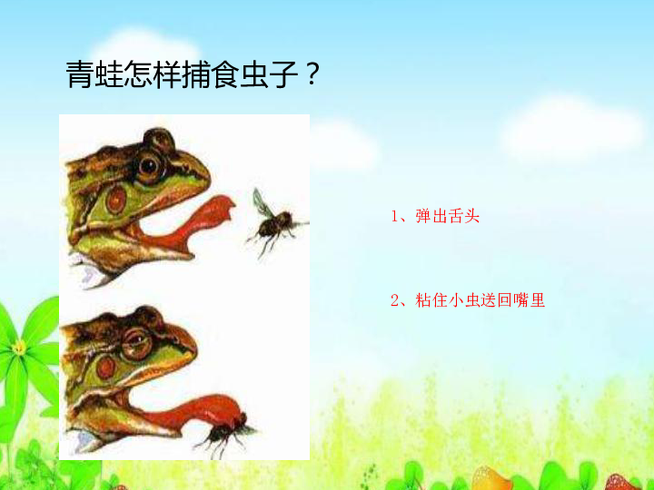 第9课《蛙》课件（11张PPT）