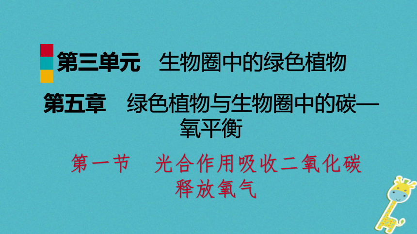 3.5.1光合作用吸收二氧化碳释放氧气课件（16张PPT）