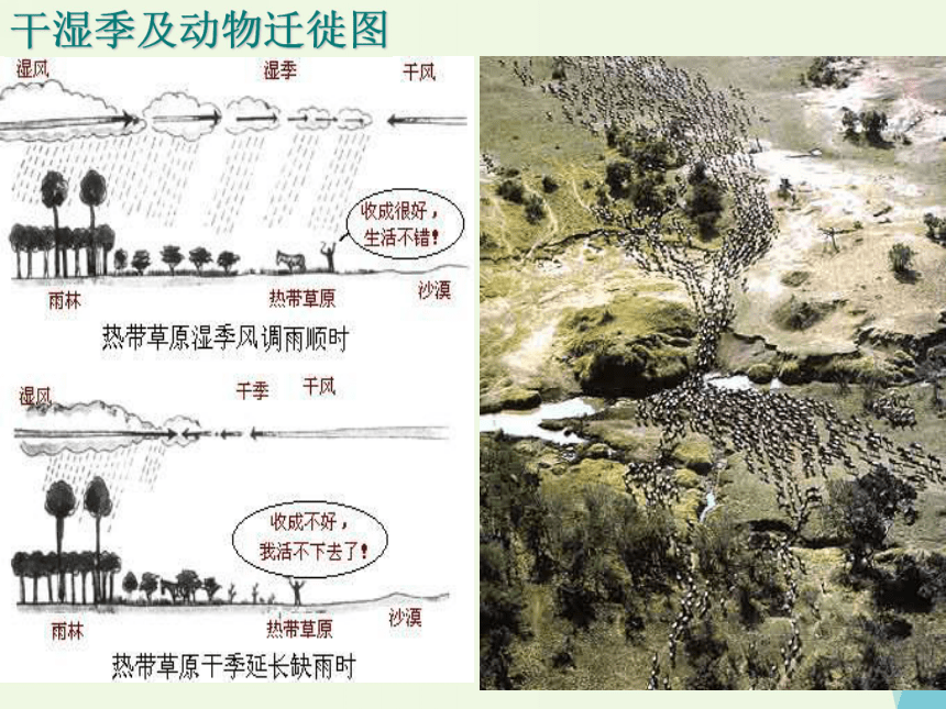 高中地理湘教版必修3  第一章区域地理环境与人类活动1.1 区域的基本含义课件