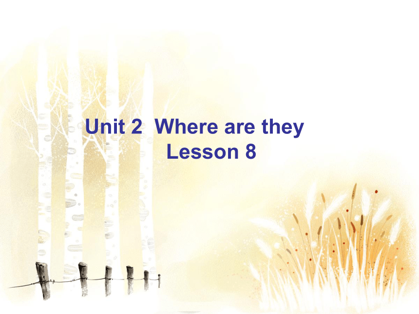 Unit 2 Where are they Lesson 8 课件  (共18张PPT)