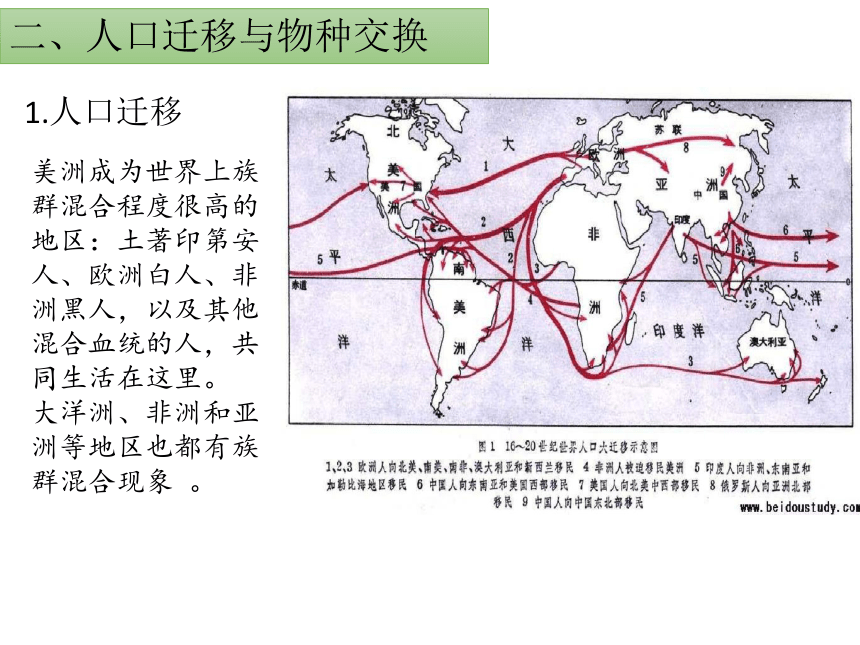 历史统编版必修中外历史纲要下第7课全球联系的初步