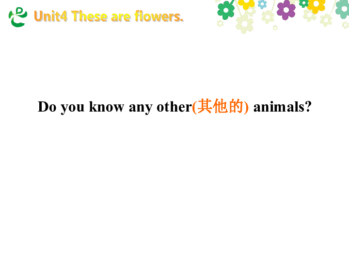 Unit 4 These are flowers 第三课时课件（21张PPT）