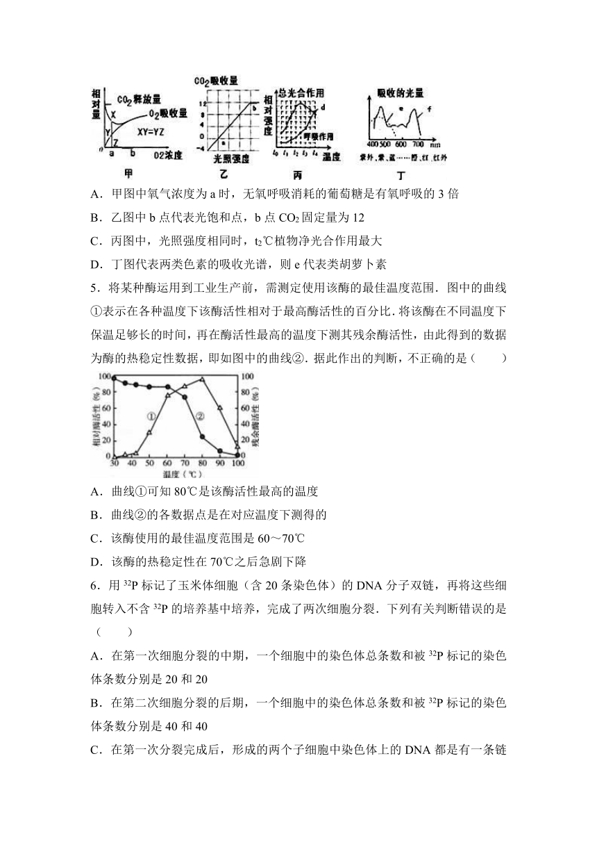 四川省成都市经开区实验中学2017届高三（上）期末生物模拟试卷（解析版）