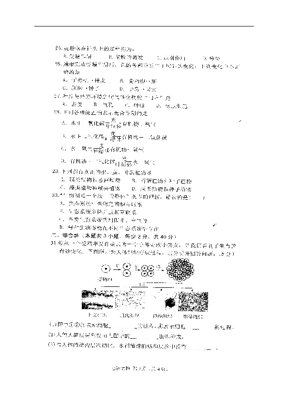 广东省潮州市潮安区2018-2019学年七年级上学期期末教学质量检测生物试题（扫描版，含答案）