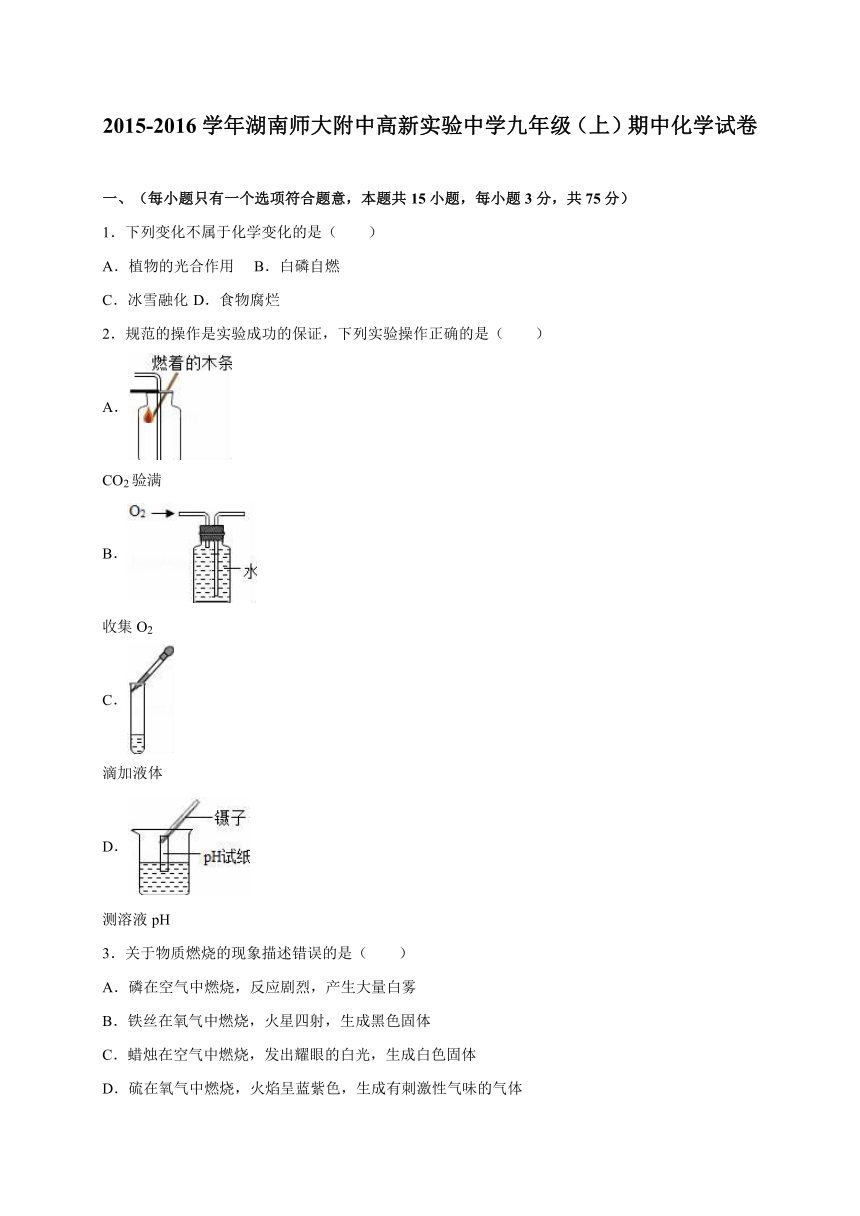 湖南师大附中高新实验中学2015-2016学年九年级（上）期中化学试卷（解析版）