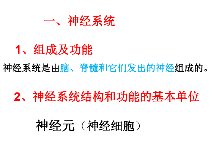 济南版七下生物 5.2神经调节的结构基础  课件（22张PPT）