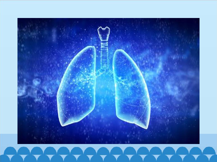四年级下册科学课件 - 15肺的保健 - 首师大版 (共11张PPT)
