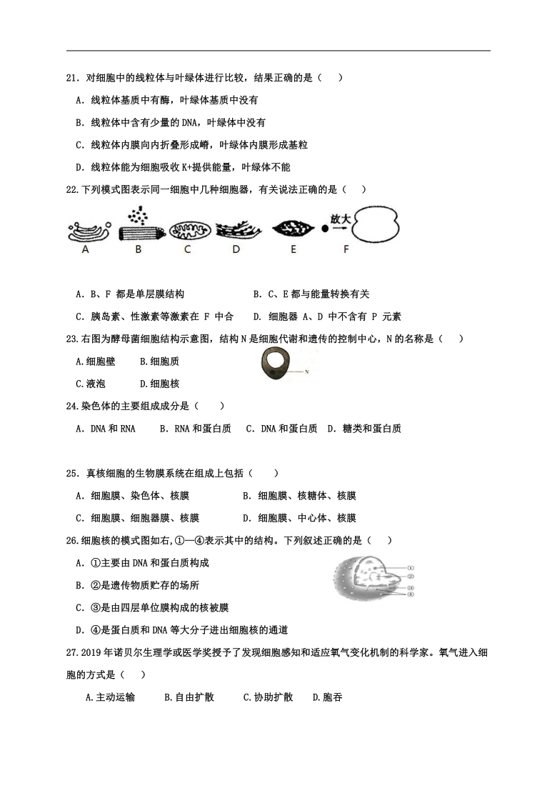 江苏省修远中学、泗洪县洪翔中学2020-2021学年高二上学期第一次联考生物（必修）试题