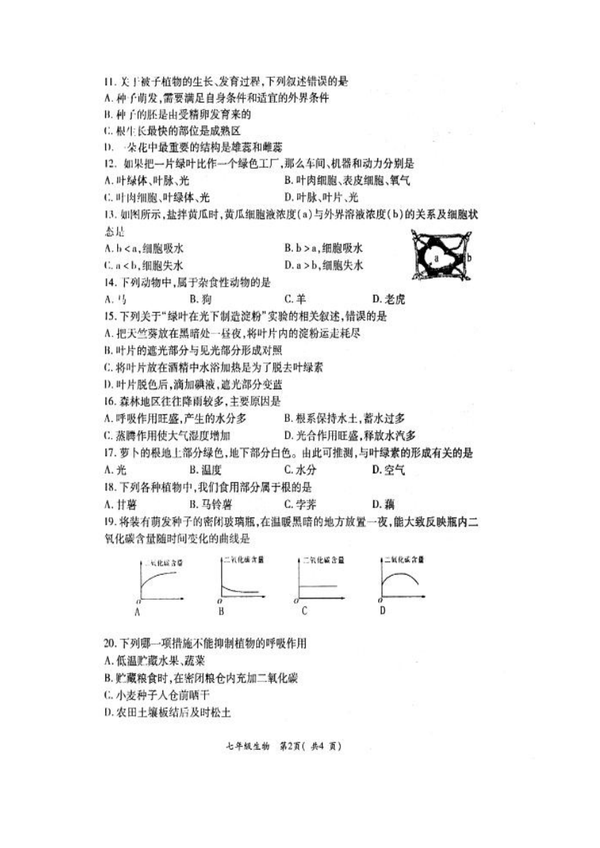 河南省洛阳市孟津县2017-2018学年七年级上学期期末考试生物试题（扫描版）