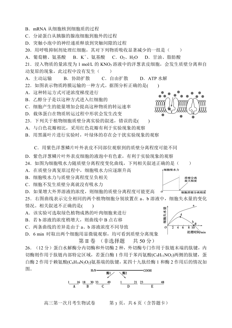 江西省贵溪市实验中学2021届高三上学期第一次月考生物试卷