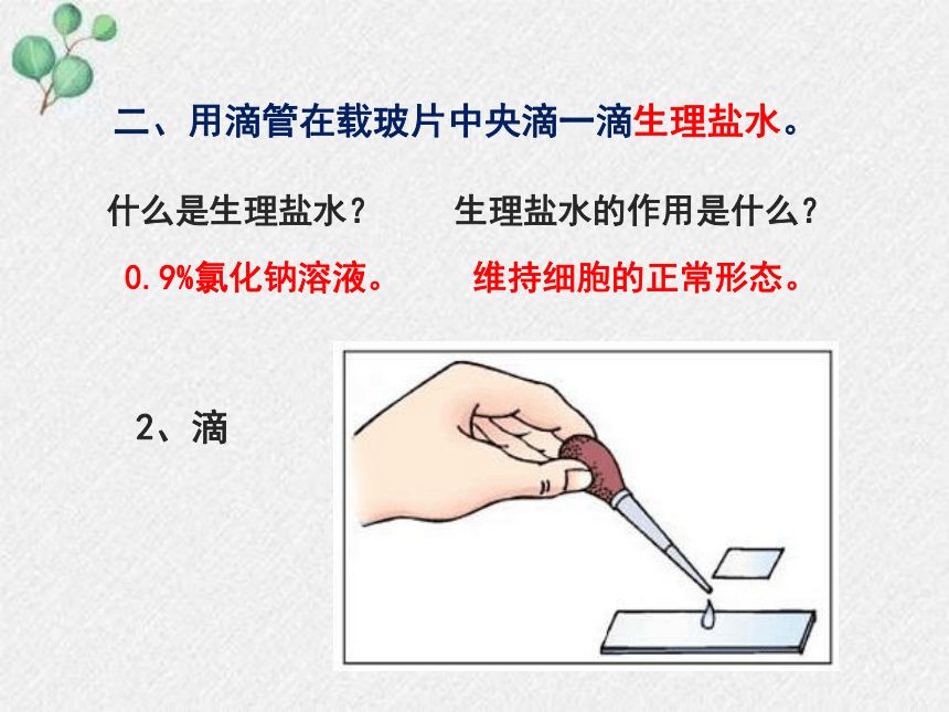 1細胞的基本結構和功能課件(第2課時)(共25張ppt)