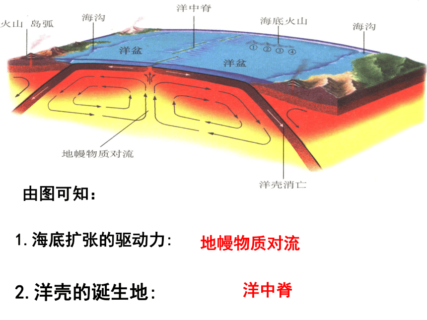 2016年秋   高二上  人教版地理  选修2 2.3 -海底地形的形成  （共32张PPT）