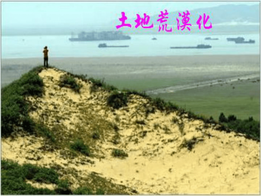 人教版选修6   第四章生态环境保护 第5节 中国区域生态环境问题及其防治途径 课件