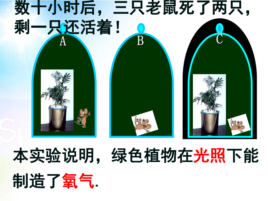 光合作用吸收二氧化碳释放氧气  课件   (共34张PPT)