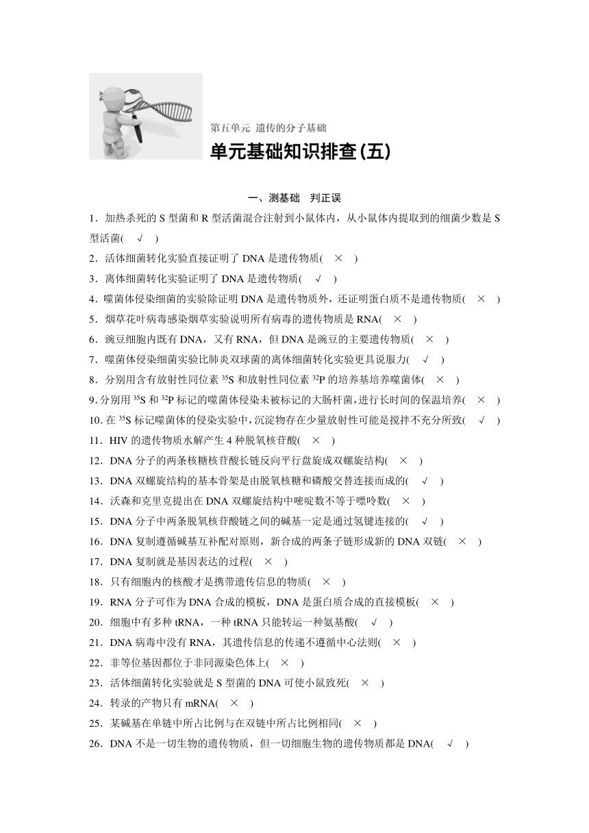 2018版浙江省高考生物《选考总复习》配套文档单元排查：基础知识（五）遗传的分子基础 （含解析）