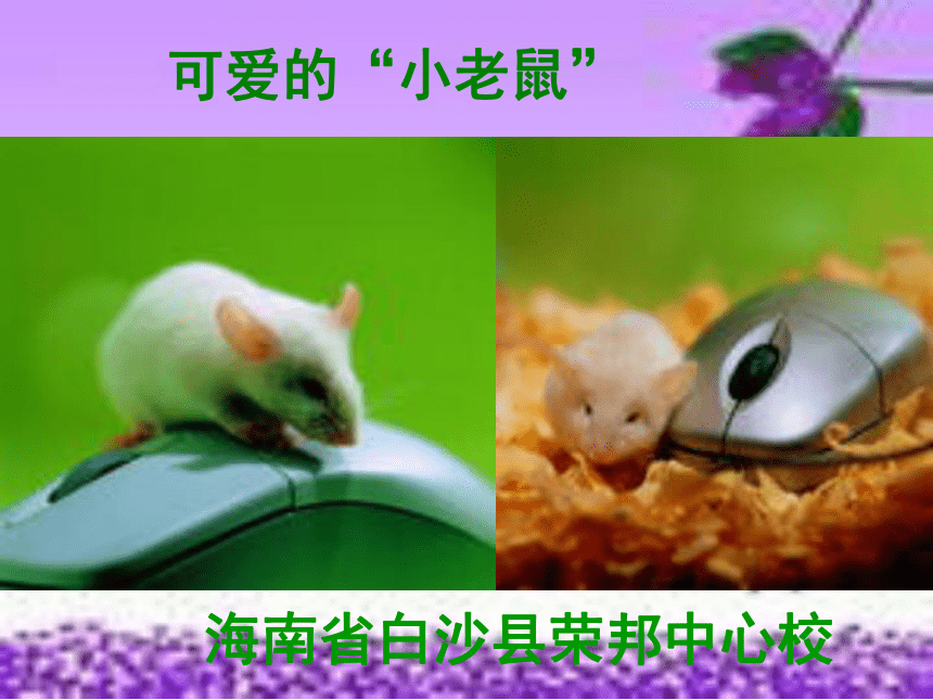 小学三年级信息技术 可爱的小老鼠(海南省海口市白沙县荣邦中心校)