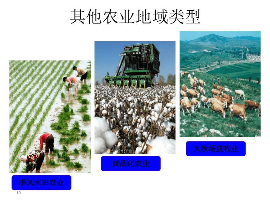 第二节  农业区位因素与农业地域类型