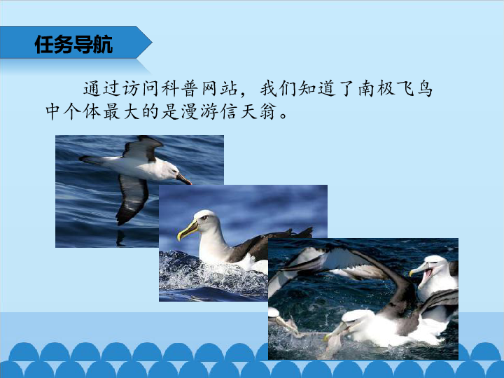 四年级上册信息技术课件-2.7网游高手—IE浏览器的使用技巧（二）  清华版  (共12张PPT)