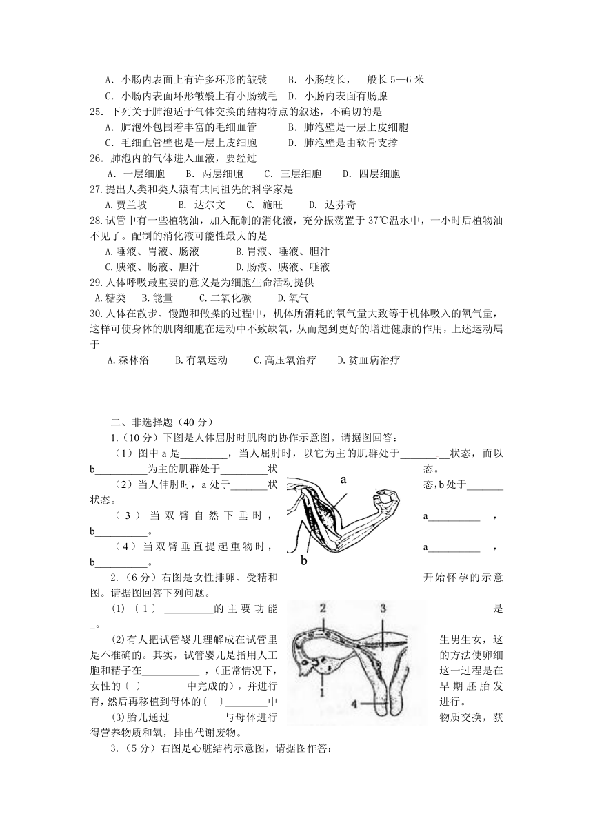 山东省聊城市2012-2013学年度第二学期七年级期中考试