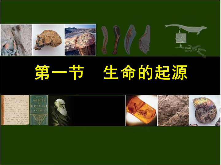 冀教生物八下《6.3.1生命的起源》课件（23张PPT）