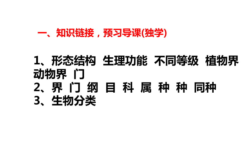 八年级上册生物课件：6. 1.2从种到界(32张ppt）