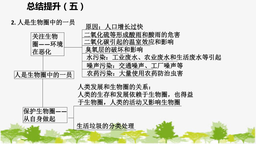 苏教版七年级生物下册 第十三章  人是生物圈中的一员   小结与复习课件(共38张PPT)