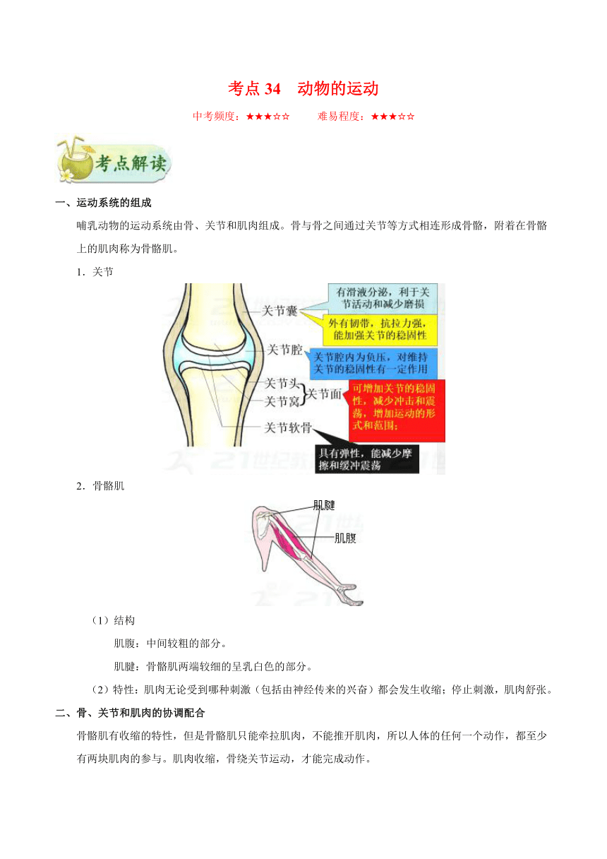 考点34 动物的运动-备战2018年中考生物核心考点全突破