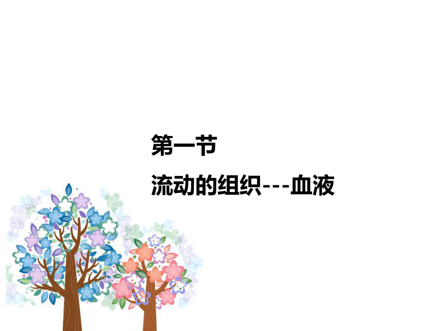 第四单元第四章第一节流动的组织---血液 课件（共33张PPT）