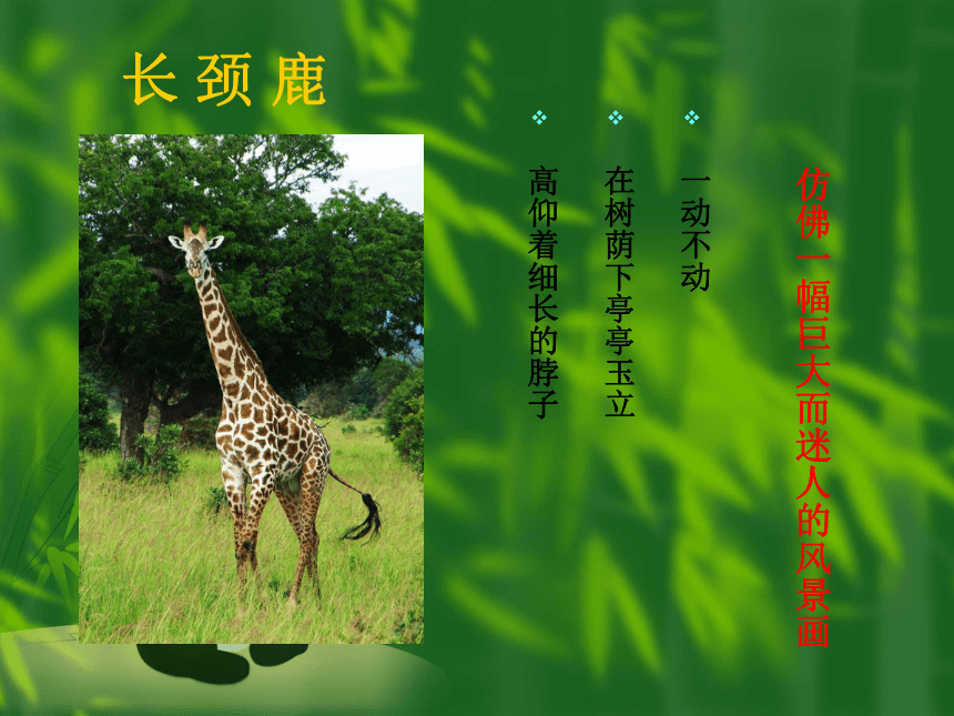 沪教版四年级语文下册《天然动物园漫游记 1》PPT课件