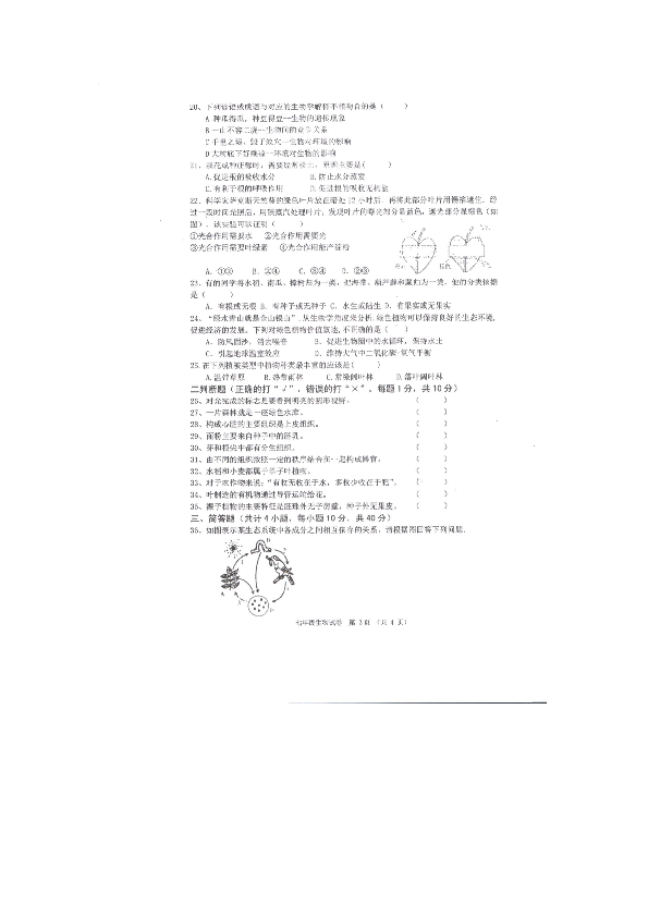 湖南省耒阳市2019-2020学年第一学期期末教学质量检测七年级上册生物试题（扫描版含答案）