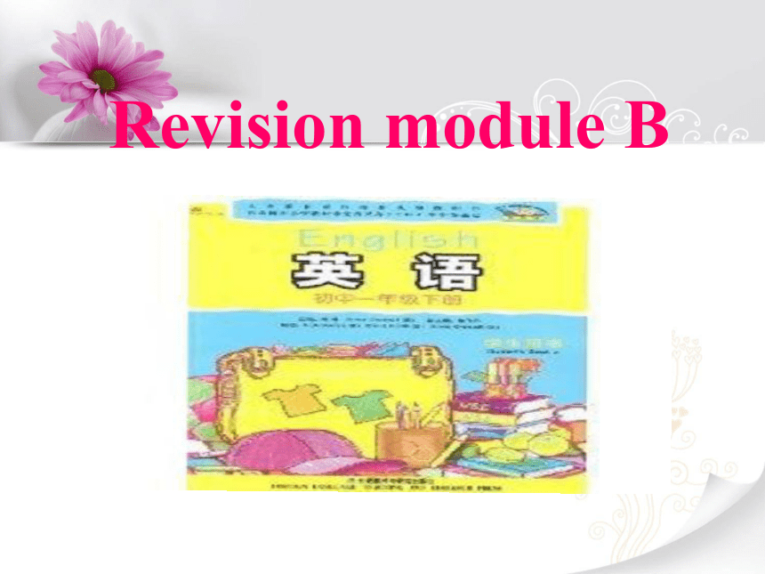 七年级下册Revision Module B 教学课件