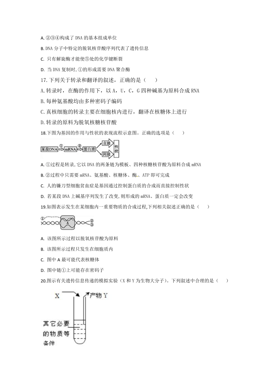 安徽省滁州市定远县民族中学2017-2018学年高一下学期6月份月考生物试题（含解析）