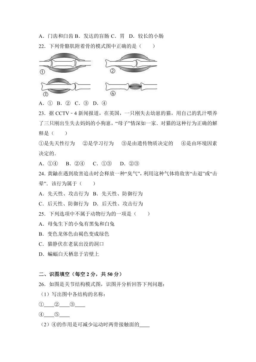 云南省昭通市鲁甸县茨院中学2016-2017学年八年级（上）第一次质检生物试卷（解析版）