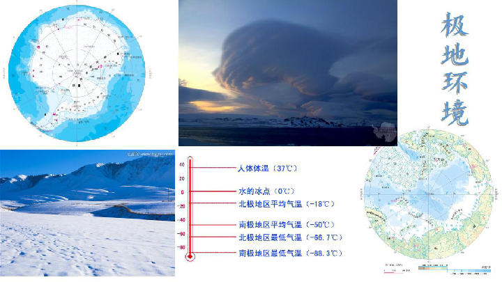 仁爱科普版七年级下册地理  9.2极地科学考察与环境保护 课件（共53张PPT）