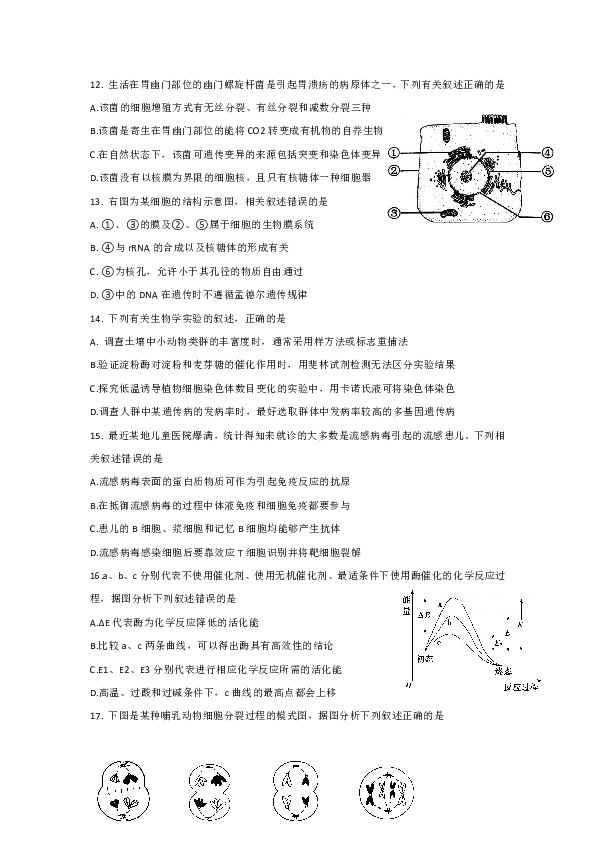 辽宁省大连经济技术开发区得胜高级中学2019届高三上学期期末考试生物试题（无答案）