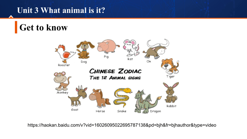 animal是什么意思图片