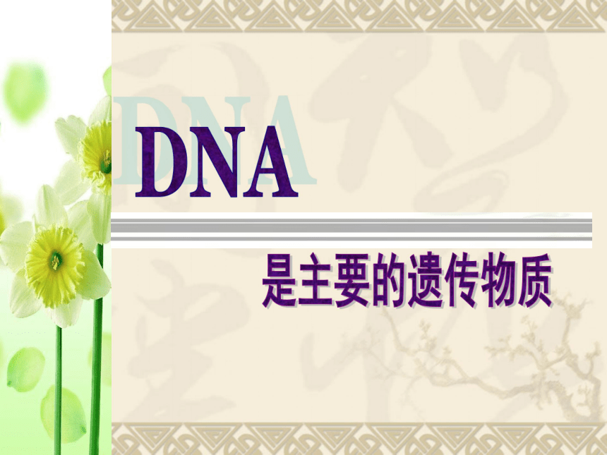 人教版必修二第三章第一节DNA是主要的遗传物质（共22张PPT）