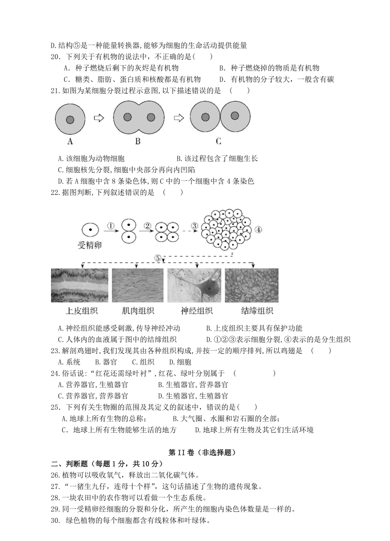 湖南省湘潭市电机子弟中学2020-2021学年七年级上学期期中考试生物试卷（Word版含答案）