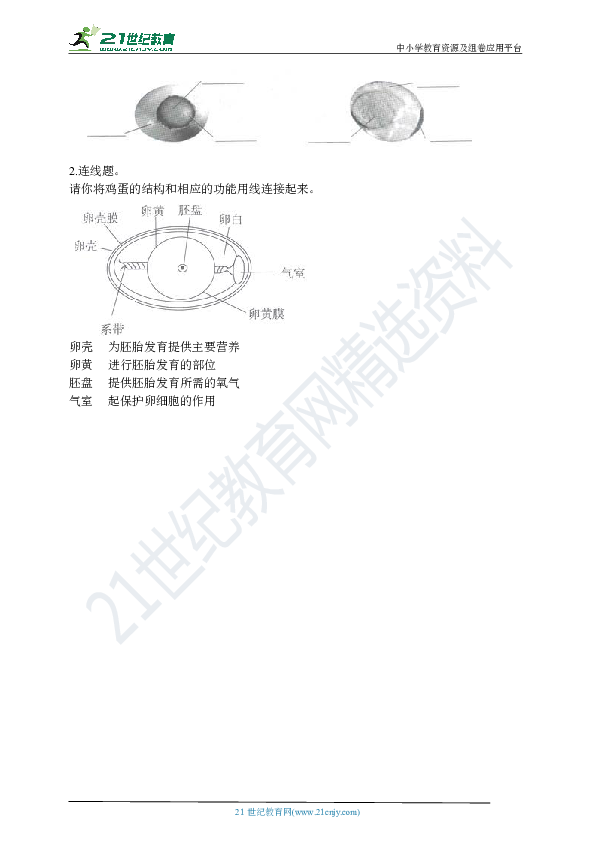 第6课 动物的卵 同步习题（含答案解析）