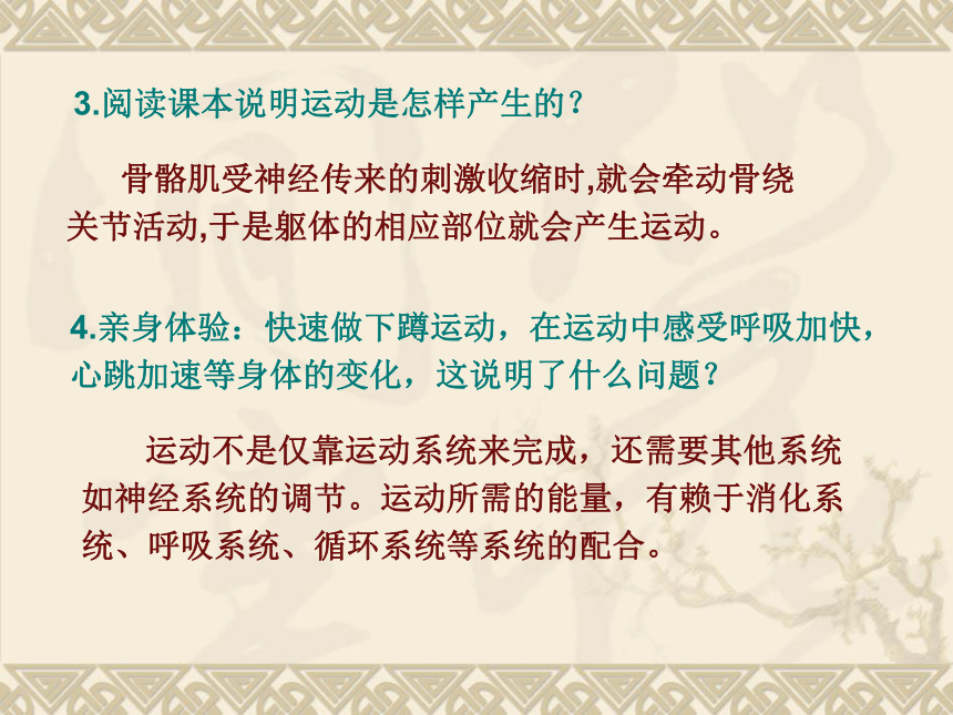 第一节  动物的运动课件