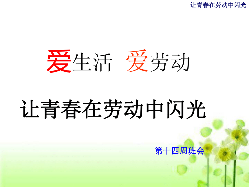 劳动教育主题班会 课件（22ppt）